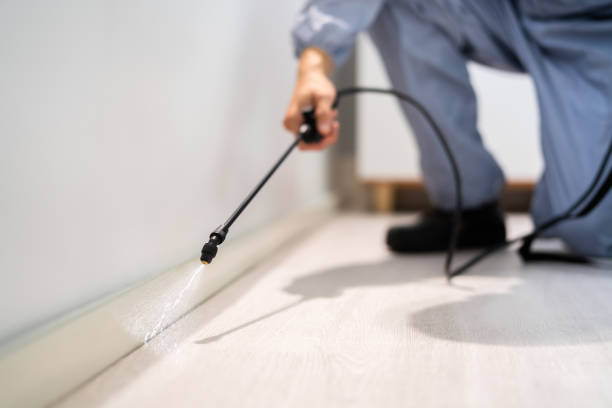 Licensed Cockroach Control service in Mountain View, HI - Nex Pest Control