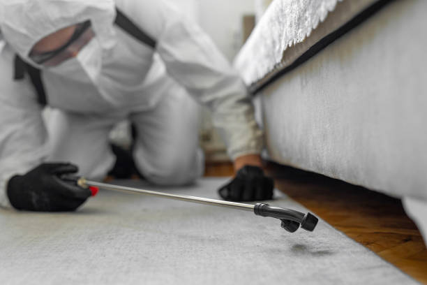 Professional Cockroach Control technician working in Mountain View, HI