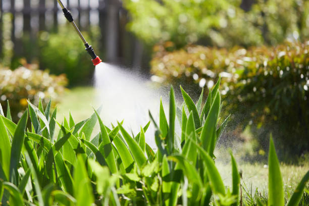 24/7 Emergency Cockroach Control experts in Mountain View, HI
