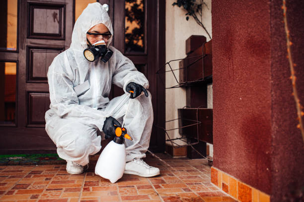 Reliable Cockroach Control contractor in Mountain View, HI by Nex Pest Control